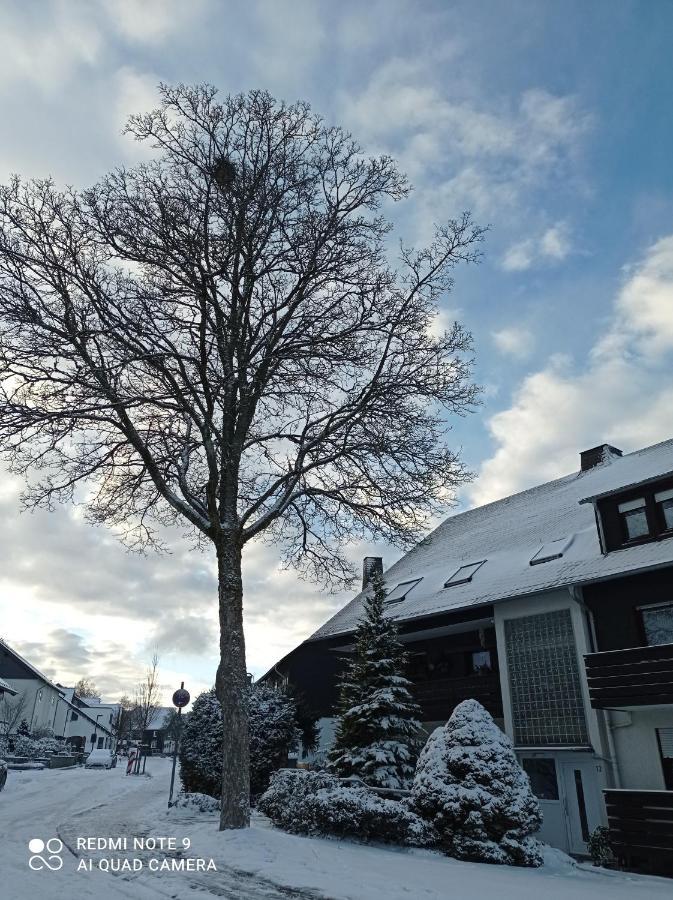 Winterberg Centrum Ssc Sommercard Extérieur photo